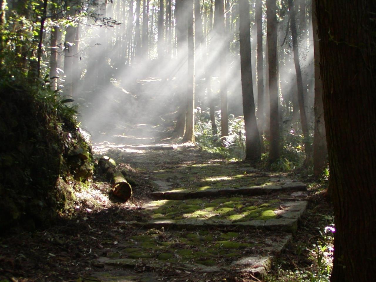 Hotel Nami Kumano Luaran gambar